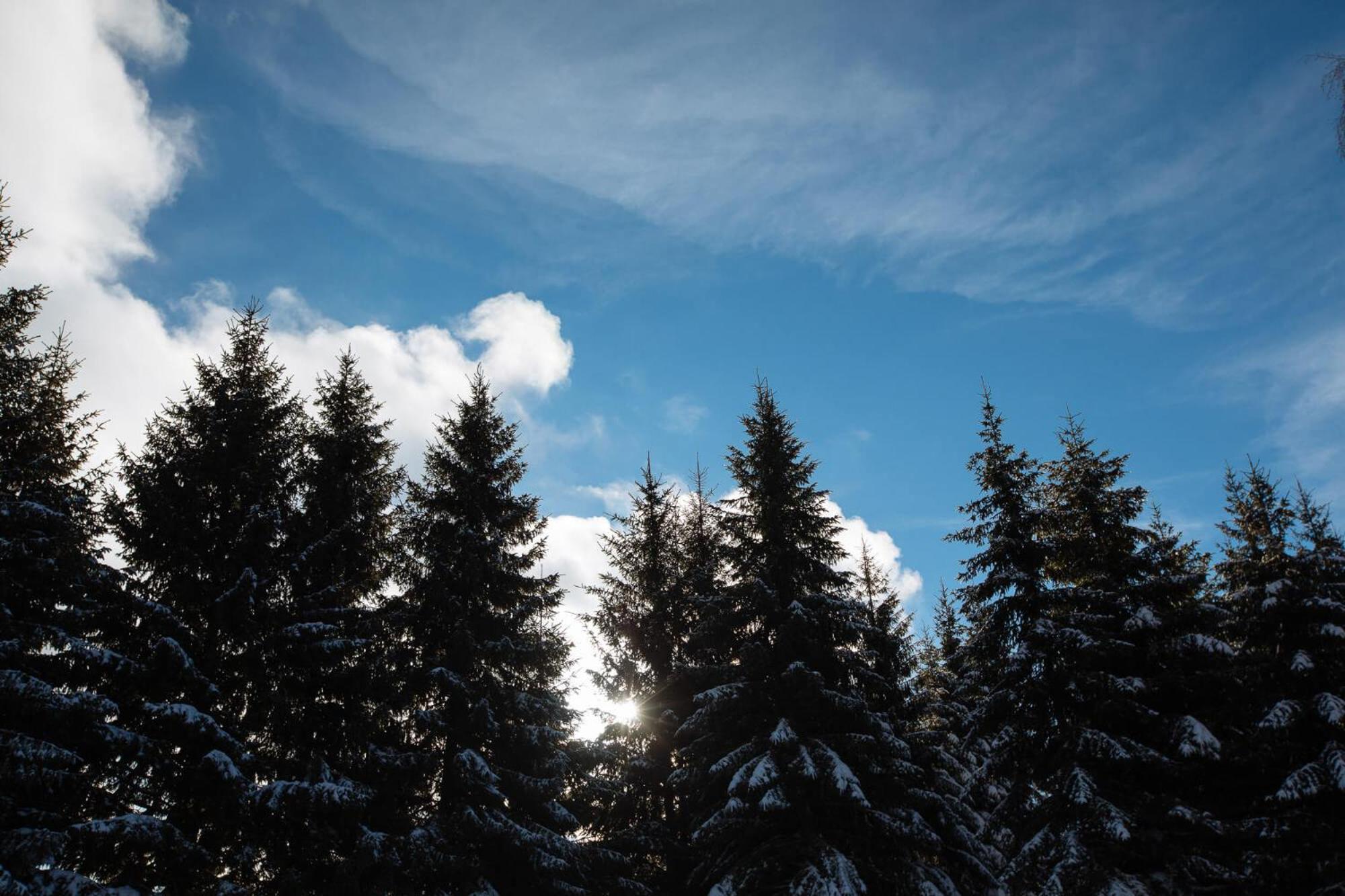 Armadillo Houses Kopaonik Bagian luar foto